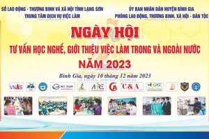 Ngày hội tư vấn giới thiệu việc làm huyện Bình Gia năm 2023